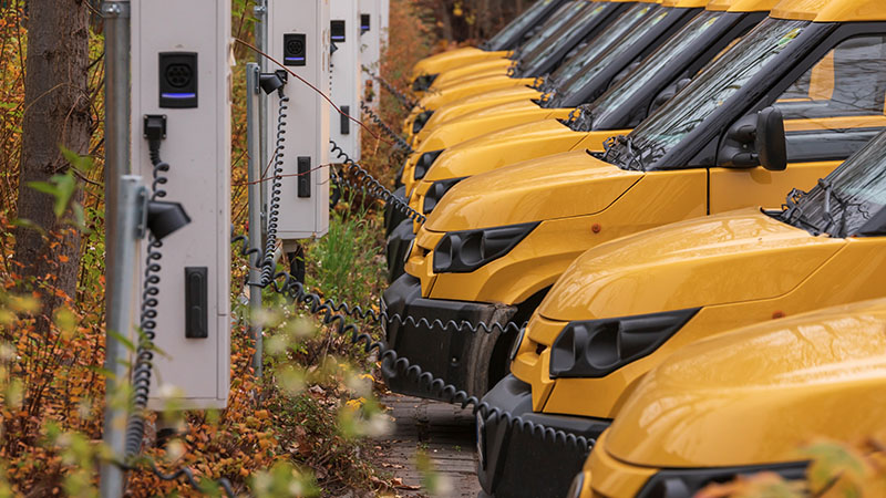 yellow vans in a row