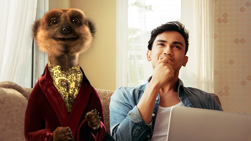 man and meerkat sitting on a sofa
