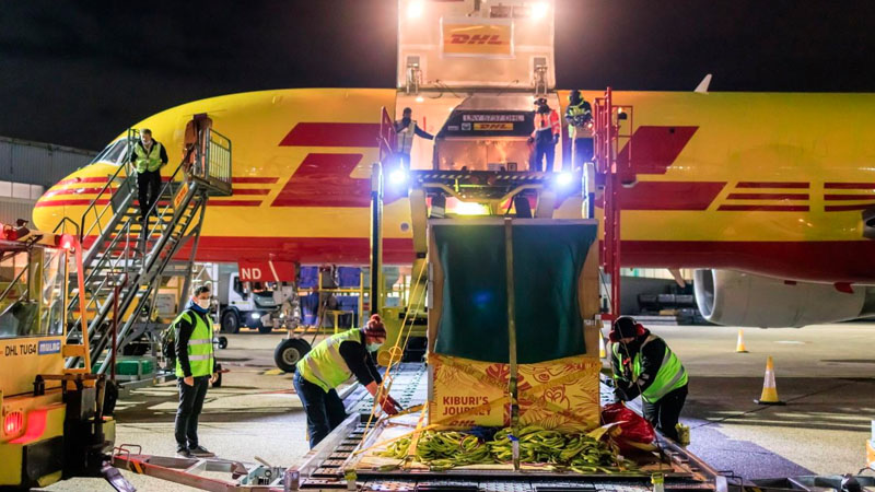 DHL aeroplane with items being loaded
