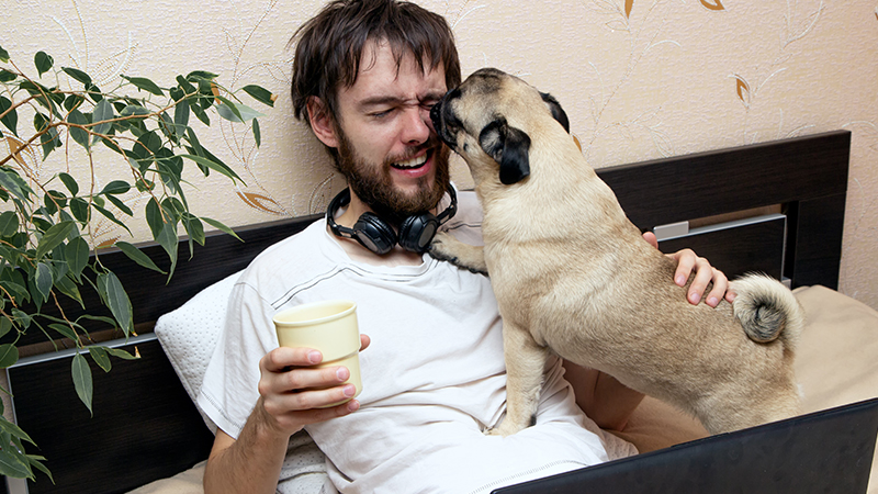 man distracted by dog