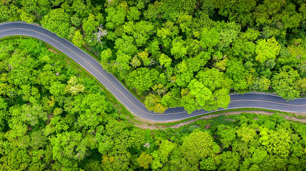 aerial view of a road