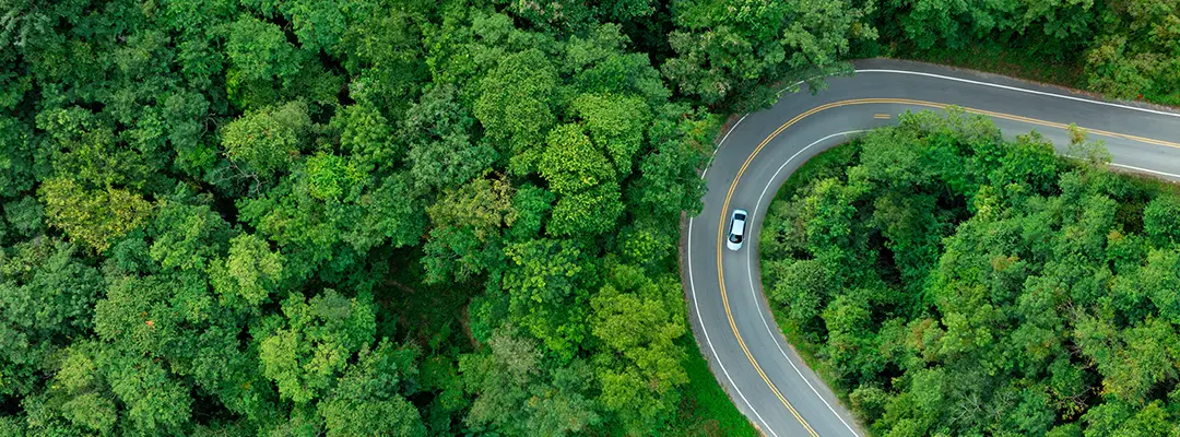 aerial view of a car on a winding road