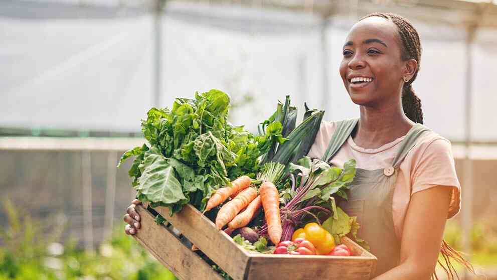 Fertilising Kenya’s Agricultural Growth